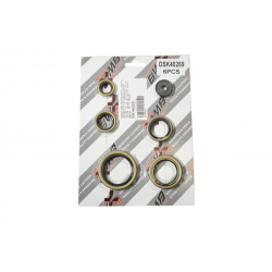 Bearing Worx, sada gufer motoru (822269)