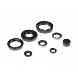 Bearing Worx, sada gufer motoru (822183)