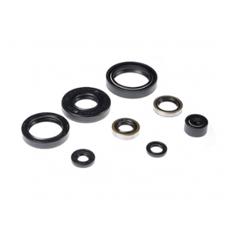 Bearing Worx, sada gufer motoru (822183)