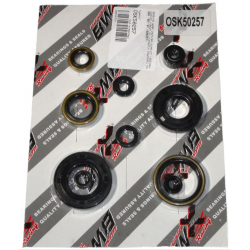Bearing Worx, sada gufer motoru (822257)