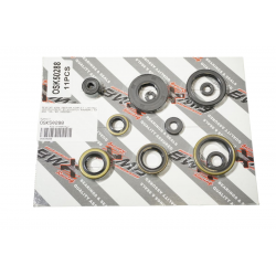 Bearing Worx, sada gufer motoru (822288)