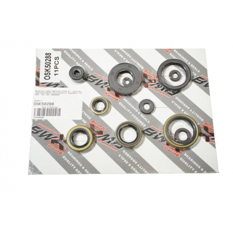 Bearing Worx, sada gufer motoru (822288)