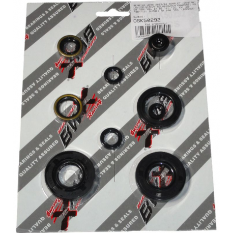 Bearing Worx, sada gufer motoru (822292)