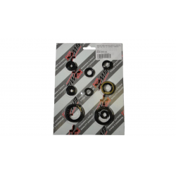 Bearing Worx, sada gufer motoru (822316)
