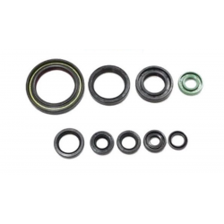 Bearing Worx, sada gufer motoru (822319)