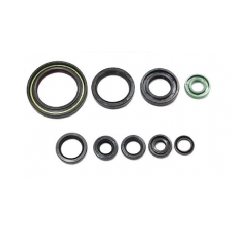 Bearing Worx, sada gufer motoru (822319)