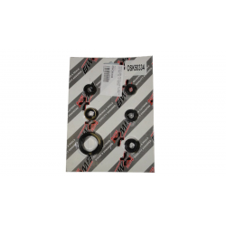 Bearing Worx, sada gufer motoru (822334)