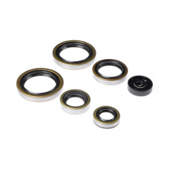 Bearing Worx, sada gufer motoru (822187)