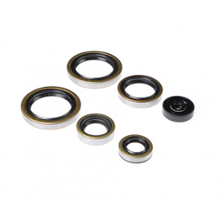 Bearing Worx, sada gufer motoru (822187)