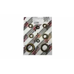 Bearing Worx, sada gufer motoru (822274)