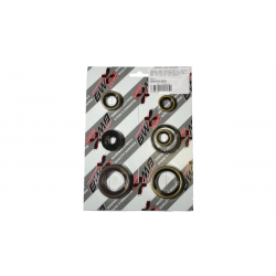 Bearing Worx, sada gufer motoru (822320)