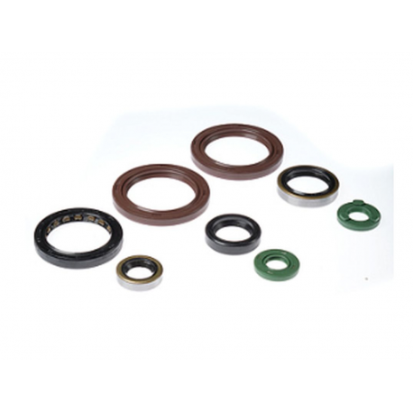 Bearing Worx, sada gufer motoru (822333)
