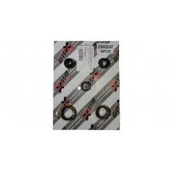 Bearing Worx, sada gufer motoru (822347)