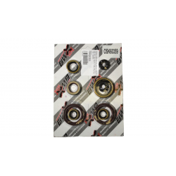 Bearing Worx, sada gufer motoru (822359)