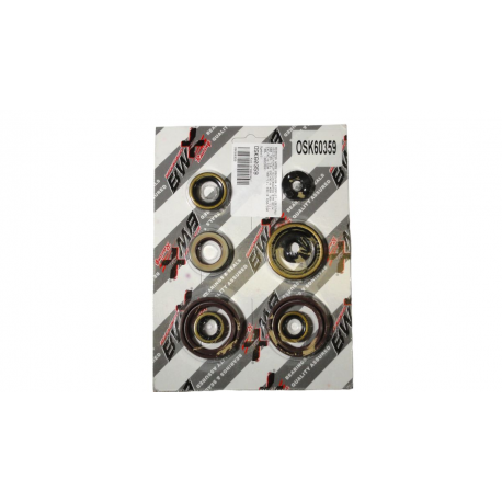 Bearing Worx, sada gufer motoru (822359)