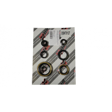 Bearing Worx, sada gufer motoru (822127)