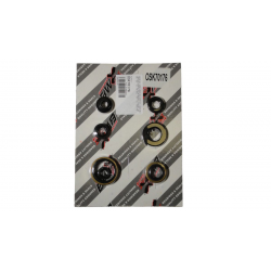 Bearing Worx, sada gufer motoru (822176)