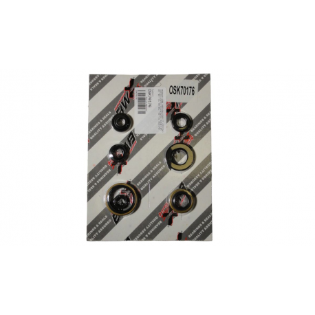 Bearing Worx, sada gufer motoru (822176)
