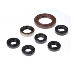 Bearing Worx, sada gufer motoru (822201)
