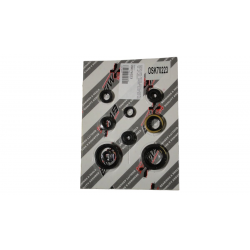 Bearing Worx, sada gufer motoru (822223)