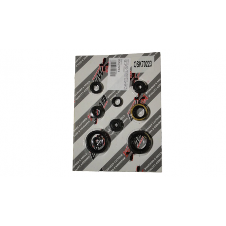 Bearing Worx, sada gufer motoru (822223)