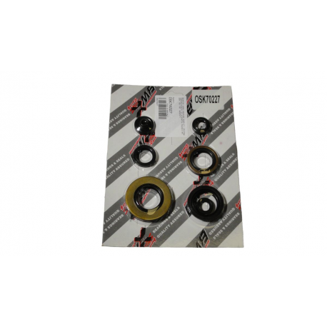 Bearing Worx, sada gufer motoru (822227)