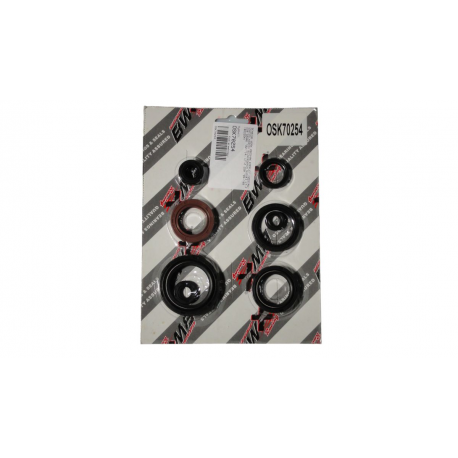Bearing Worx, sada gufer motoru (822254)