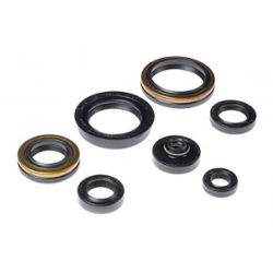 Bearing Worx, sada gufer motoru (822266)