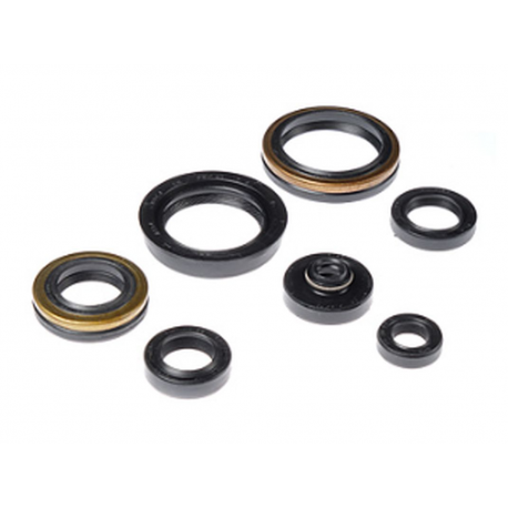 Bearing Worx, sada gufer motoru (822266)