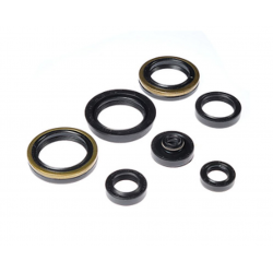 Bearing Worx, sada gufer motoru (822317)
