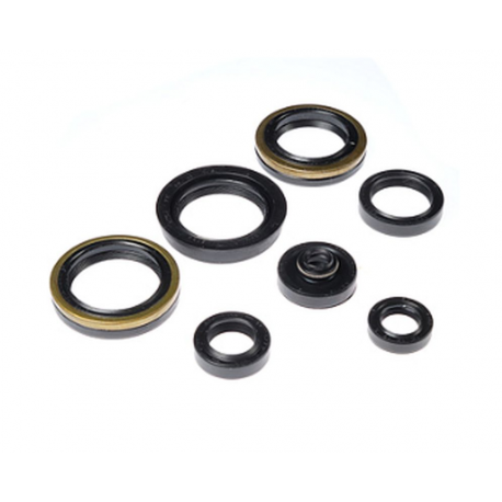 Bearing Worx, sada gufer motoru (822317)