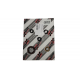 Bearing Worx, sada gufer motoru (822327)