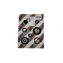 Bearing Worx, sada gufer motoru (822346)