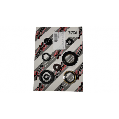 Bearing Worx, sada gufer motoru (822346)