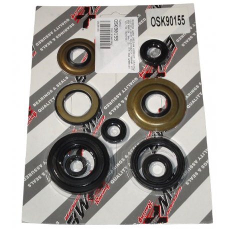 Bearing Worx, sada gufer motoru (822155)