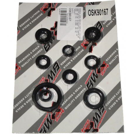 Bearing Worx, sada gufer motoru (822167)