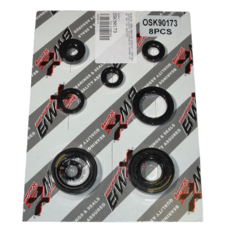 Bearing Worx, sada gufer motoru (822173)