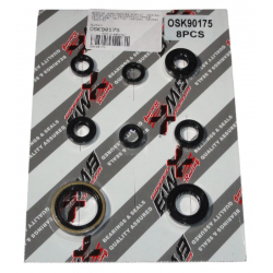 Bearing Worx, sada gufer motoru (822175)