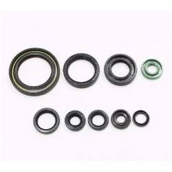 Bearing Worx, sada gufer motoru (822228)