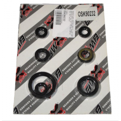 Bearing Worx, sada gufer motoru (822232)