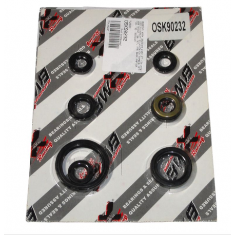 Bearing Worx, sada gufer motoru (822232)
