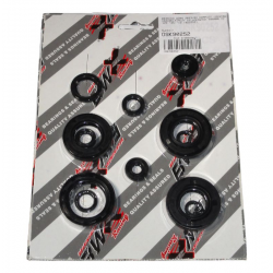 Bearing Worx, sada gufer motoru (822252)