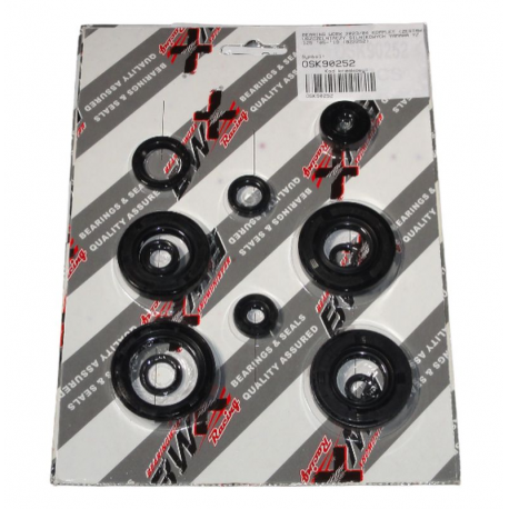 Bearing Worx, sada gufer motoru (822252)