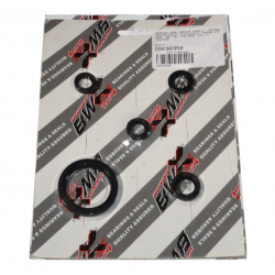 Bearing Worx, sada gufer motoru (822350)