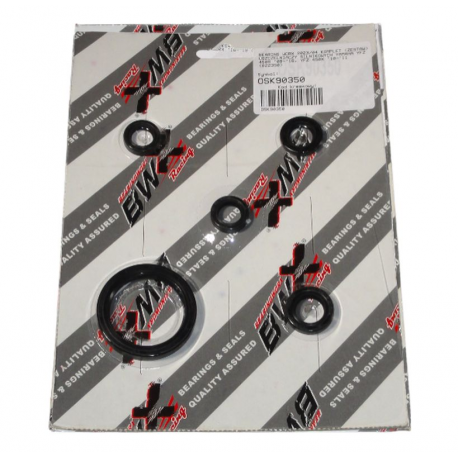 Bearing Worx, sada gufer motoru (822350)