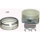 Wossner, sada pístů, SEA DOO SPARK ACE '14-'19 (4T) (+0,50mm 74,50mm) (píst 74,44mm) (3ks) (čep 17mm)