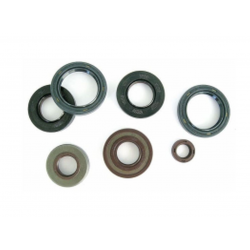 Athena, sada gufer motoru, Honda CB 250 '94-'07