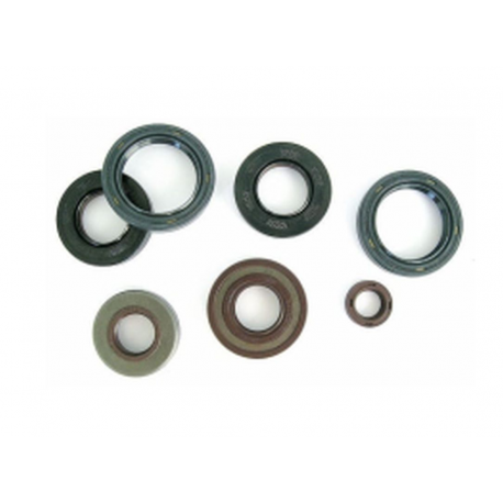 Athena, sada gufer motoru, Honda CB 250 '94-'07