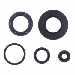 Athena, sada gufer motoru, Honda FORZA 300 '13-'20, SH 300 '07-'20