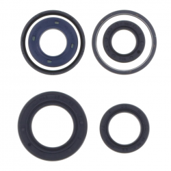 Athena, sada gufer motoru, Peugeot BUXY 50 '94-'98, ELYSTAR 50 '03-'05, LOOXOR 50 '01-'03, LUDIX